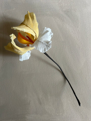Paper Iris