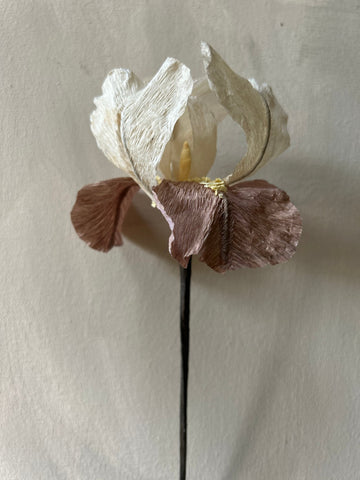 Paper Iris