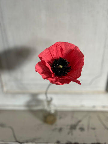 Paper Poppy