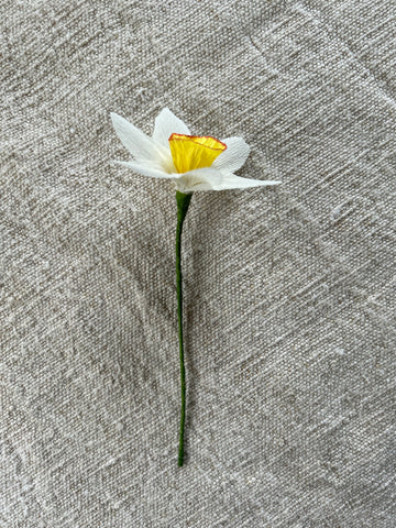 Miniature Paper Narcissi