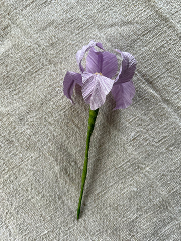 Miniature Paper Iris