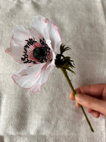 Anenome