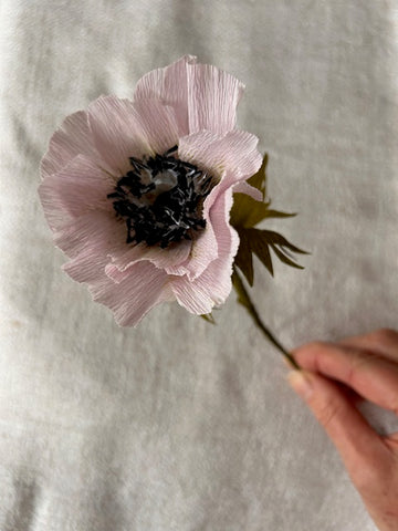 Anenome