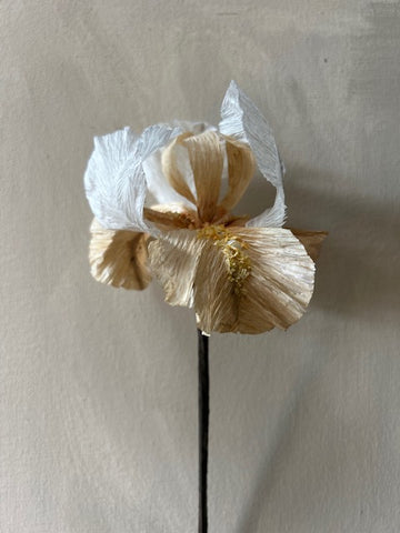 Paper Iris