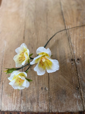 Paper China Roses