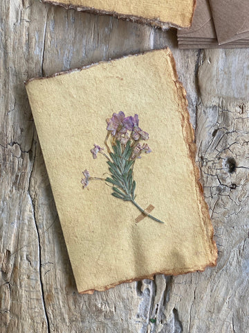 Rosemary Flower