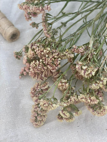 A Bunch of Mid Pink Limonium