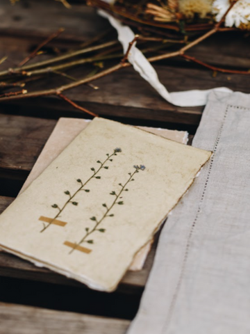 Forget Me Not Sprigs