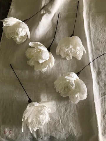 Paper Peony