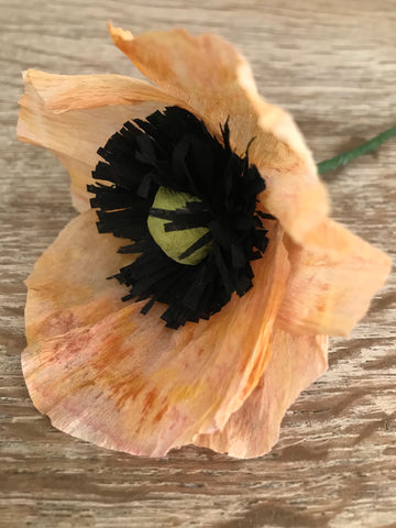 Crepe Paper Poppy