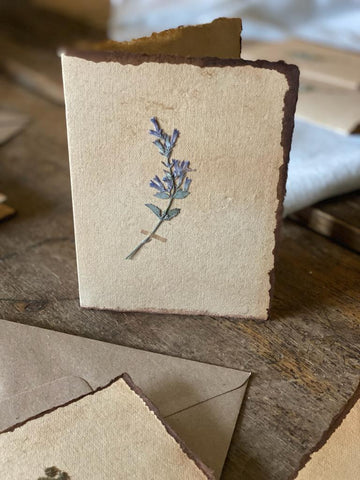 Pressed Flower