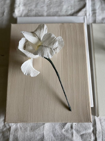 Paper Iris