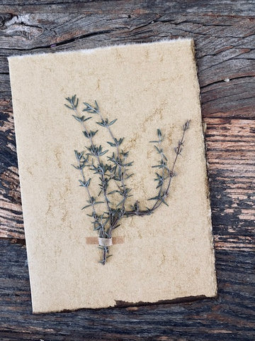A Sprig of Thyme