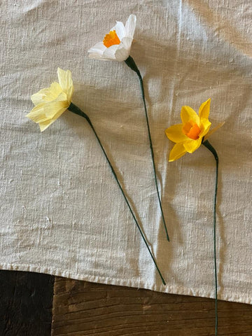 Pale Yellow Paper Daffodil