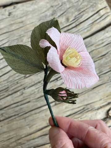 Paper Queen Elizabeth Rose