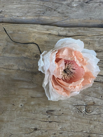 Peach & Cream Paper Peony