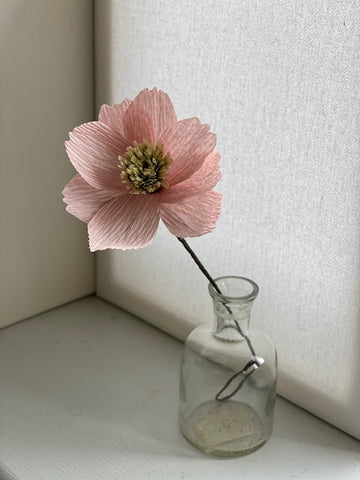 Pink Paper Cosmos