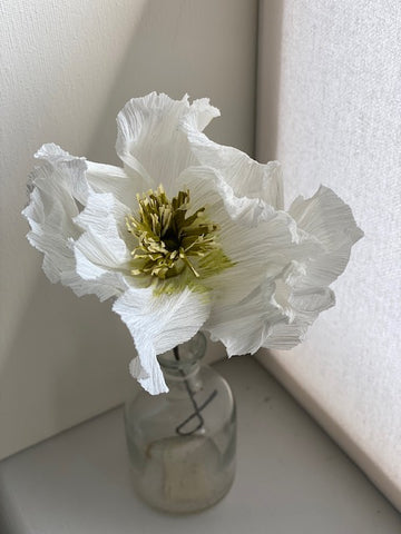 White Paper Poppy