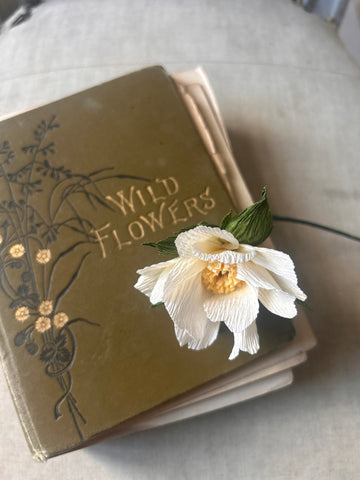 Wild Rose