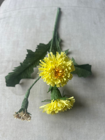 Dandelion