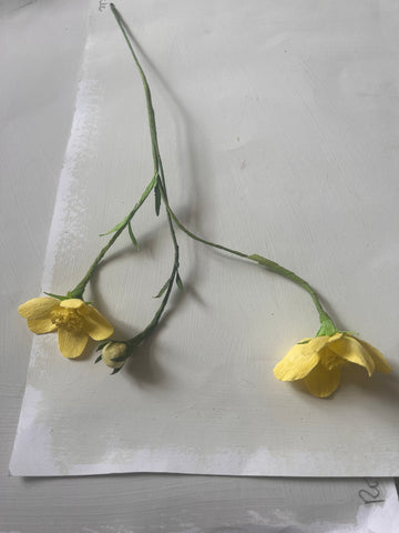 Buttercups