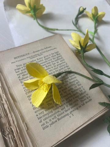 Buttercups