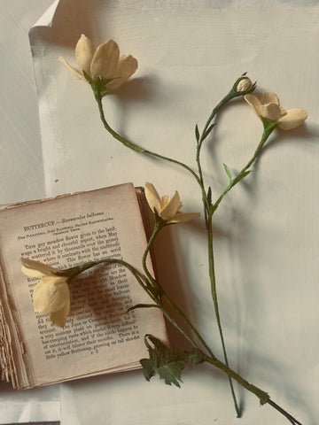 Buttercups