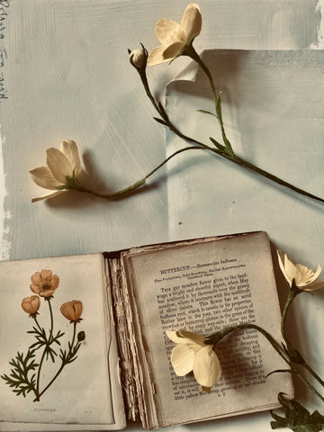 Buttercups