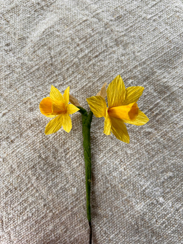 Miniature Narcissi