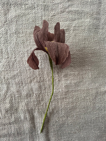 Paper Iris