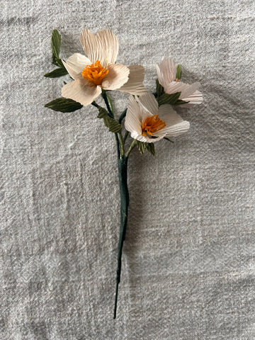 A Branch of Wild Roses