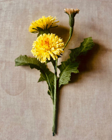 Dandelion