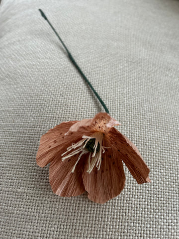 Hellebore