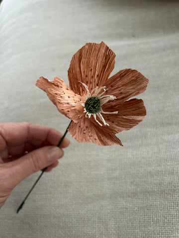 Hellebore