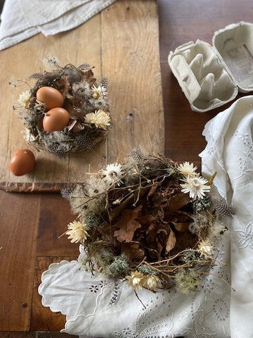 Willow Nest