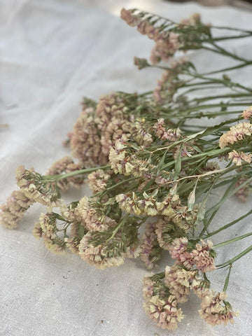 A Bunch of Mid Pink Limonium