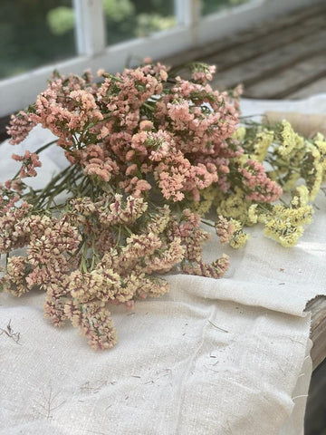 A Bunch of Mid Pink Limonium