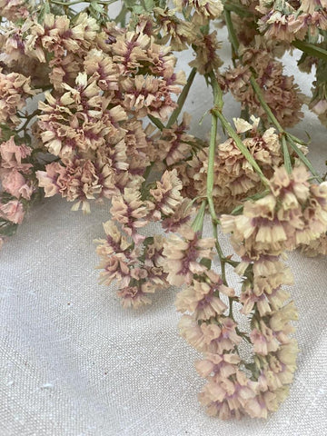A Bunch of Mid Pink Limonium