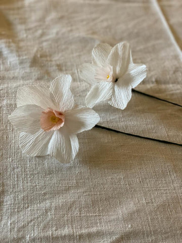 Paper Narcissi