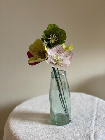 Deep Green Paper Hellebore