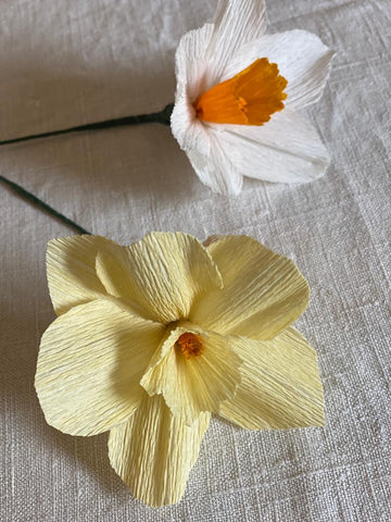 Pale Yellow Paper Daffodil