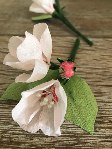 Cherry Blossom Sprig