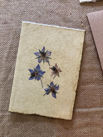 Borage Flowers