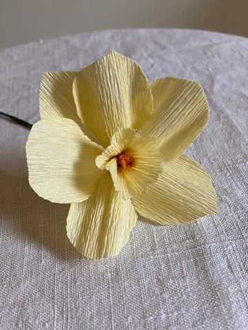Pale Yellow Paper Daffodil