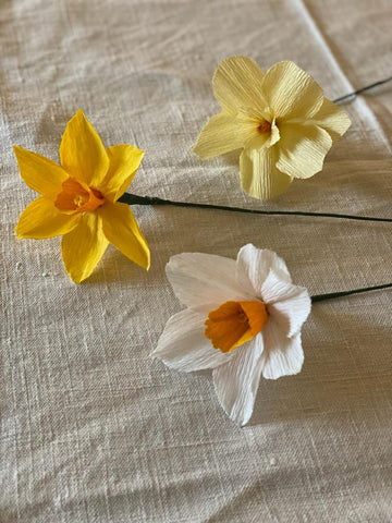Yellow Paper Daffodil