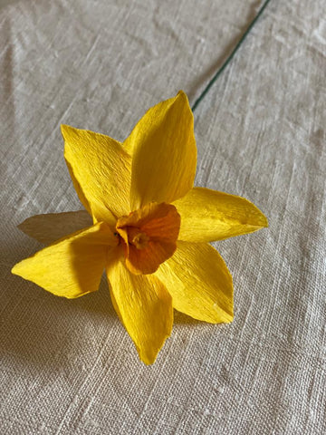 Yellow Paper Daffodil