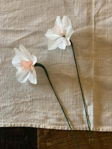 Paper Narcissi