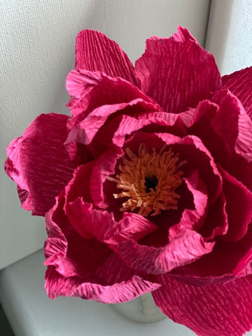 Deep Pink Peony